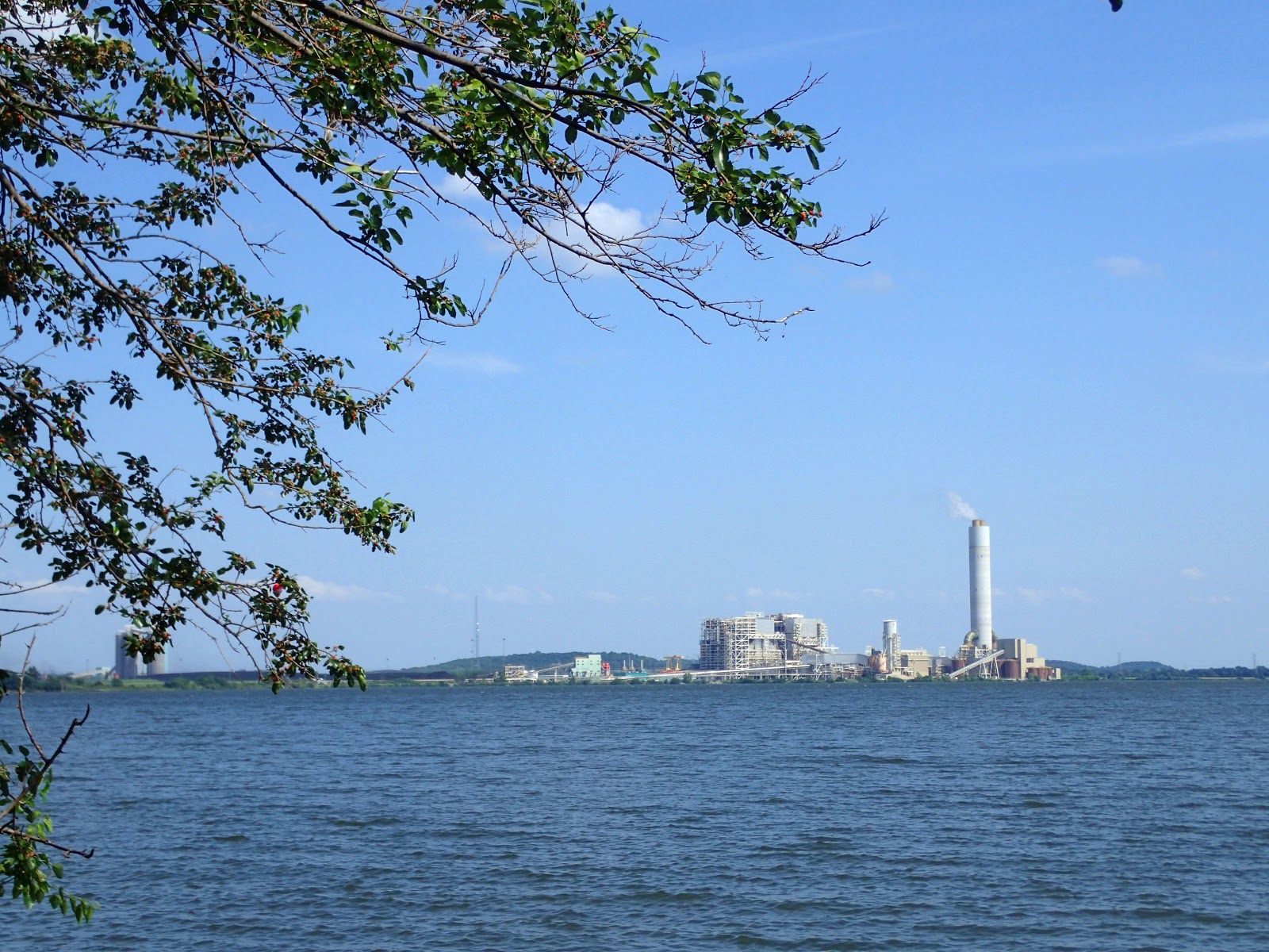 PAMPERED PENGUIN June 89, 2018 Linn County Park, La Cygne Lake, Kansas