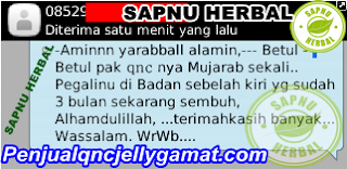 QnC Jelly Gamat Murah Dan Asli QnC Jelly Gamat Murah Dan Asli