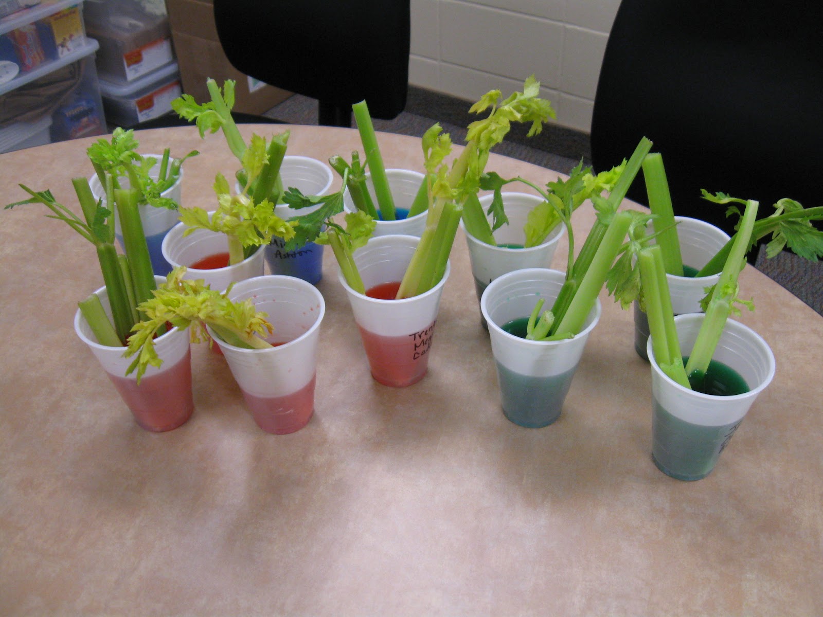 A Day in 3K Celery Experiment