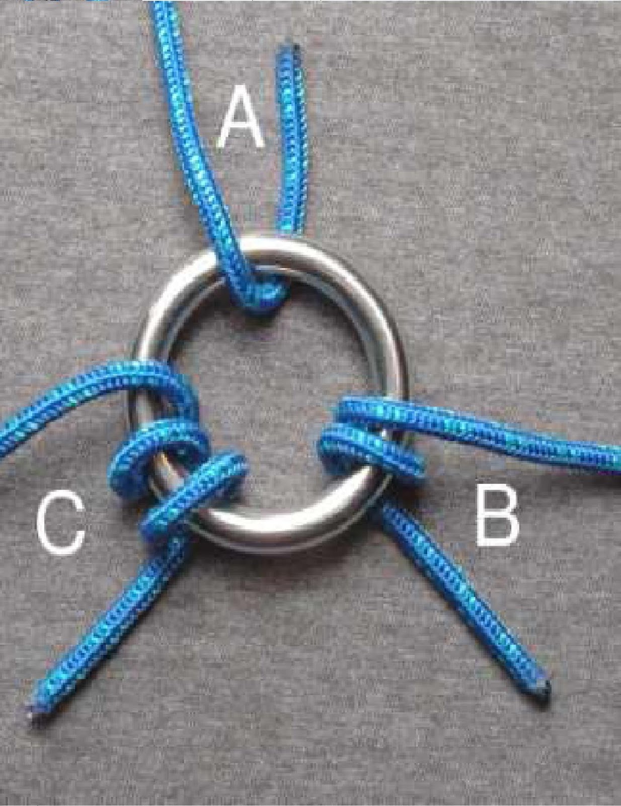 Demonstrate how to tie the following knots Reef knot, Sheet bend