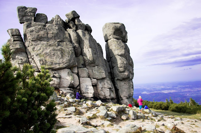 podróże z psem słonecznik w Karkonoszach