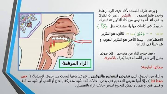 بالصور والفيديو دورة تعليم مخارج الحروف وصفاتها حرف حرف 13