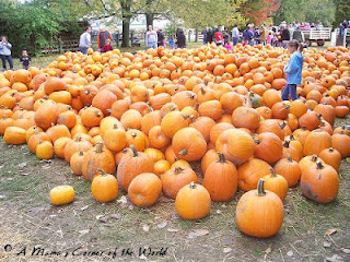 Piles of pumpkins at http://www.amamascorneroftheworld.com