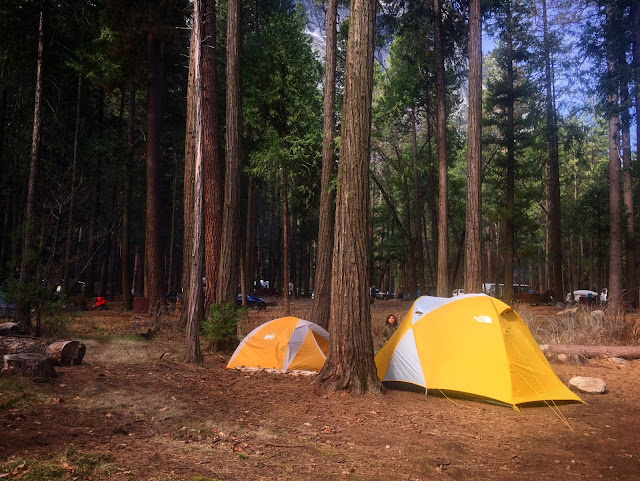 Cassie-Mathew-Curran-Ziggy-Rocket-Yosemite-Camping-Tent