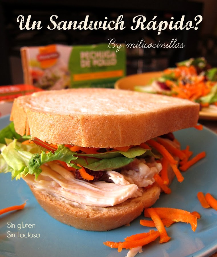sandwich-vegetal-pollo-singluten-sinlactosa