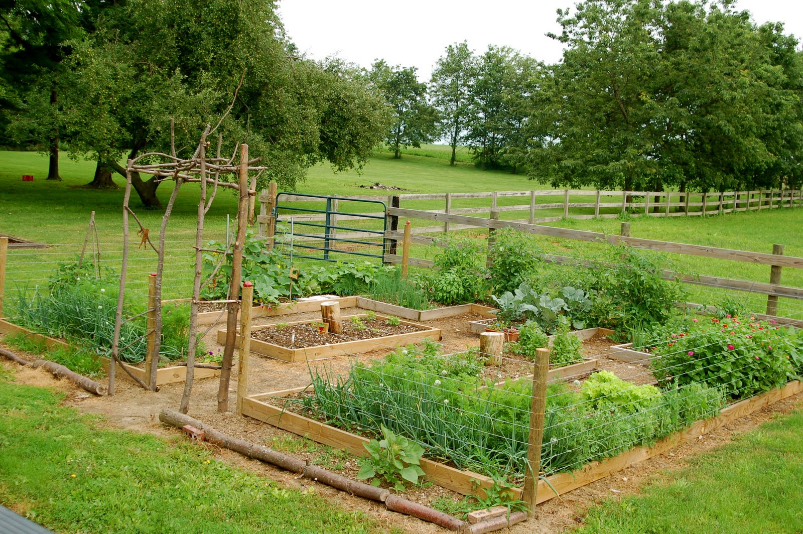 shorties funny farm: ::how I got my cottage garden::
