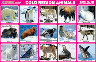 Chart contains images of animals living in cold regions