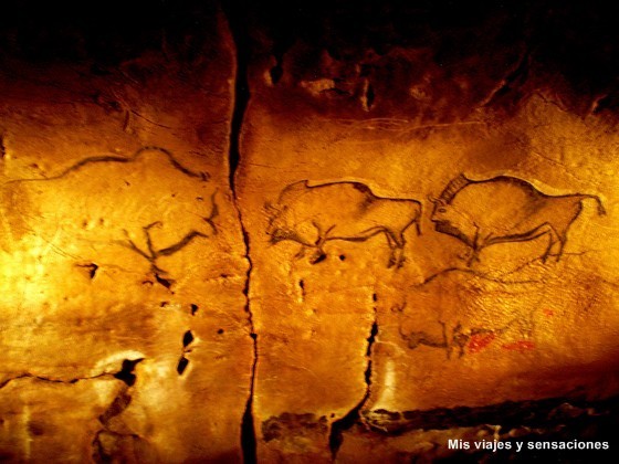 Bisontes en la Cueva de Altamira, Parque de la Prehistoria, Asturias