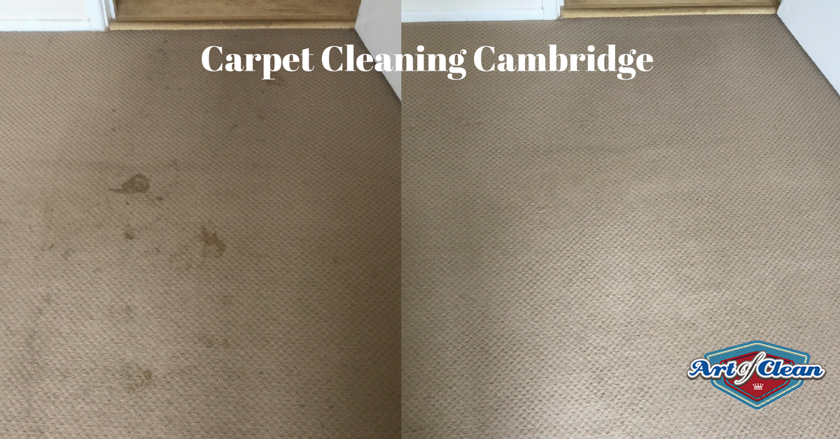 Carpet cleaning in Cambridge Art of Clean UK 01223 863632