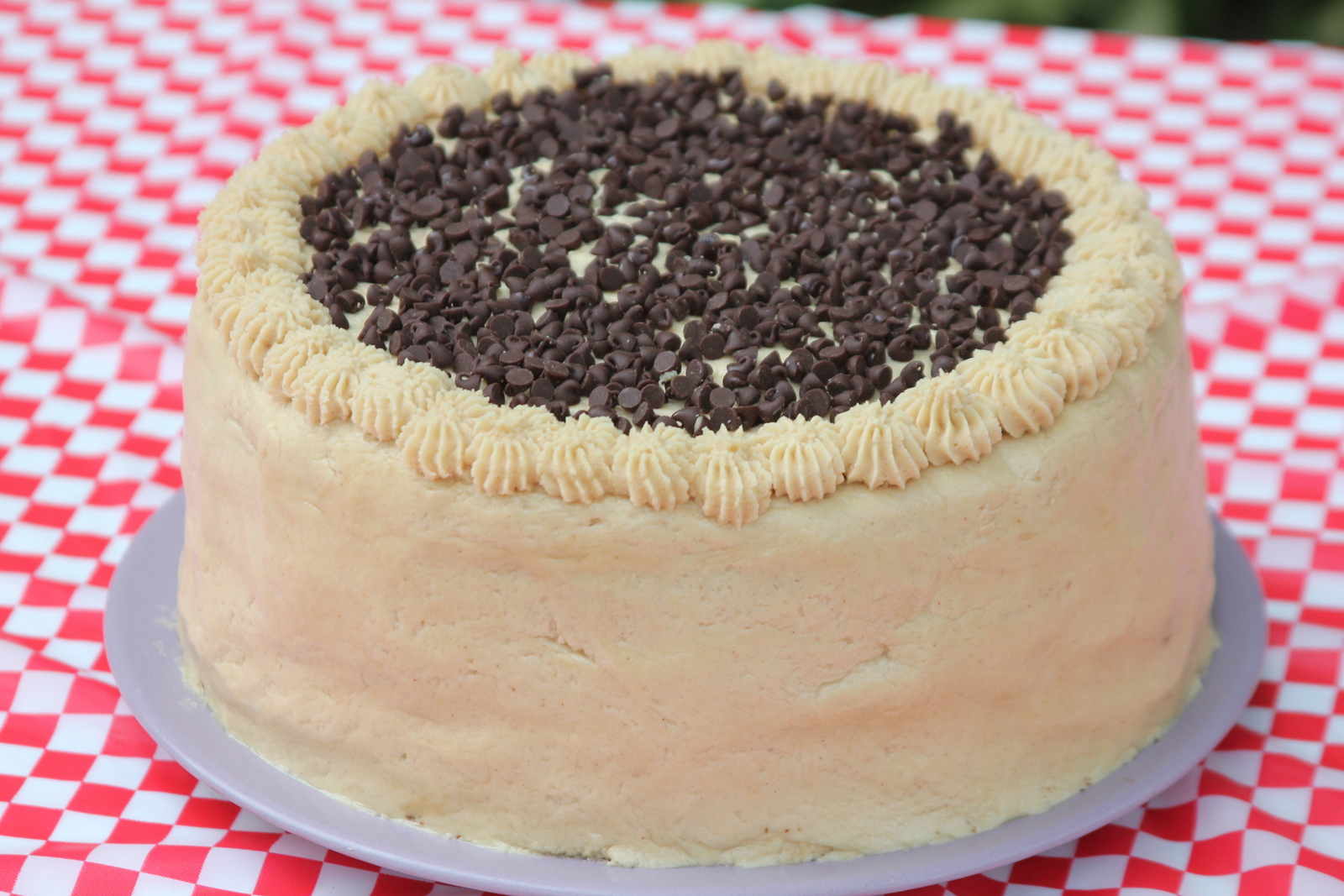 Punkie Pie's Place Chocolate Peanut Butter Fudge Cake