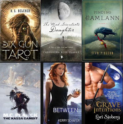 2013 Debut Author Challenge Cover Wars - January 2013 Winner