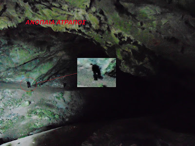 ΚΑΤΑΓΡΑΦΗ ΠΕΡΙΕΡΓΩΝ ΟΝΤΟΤΗΤΩΝ ΣΤΟ ΣΠΗΛΑΙΟ ΤΟΥ ΝΤΑΒΕΛΗ!  