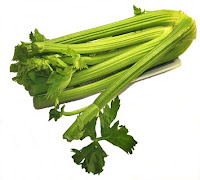 can bearded dragons eat celery?