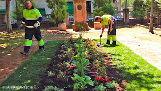 Soluciones Florales en el Rincón de Lucas Malla - Parque Miguel Servet Huesca