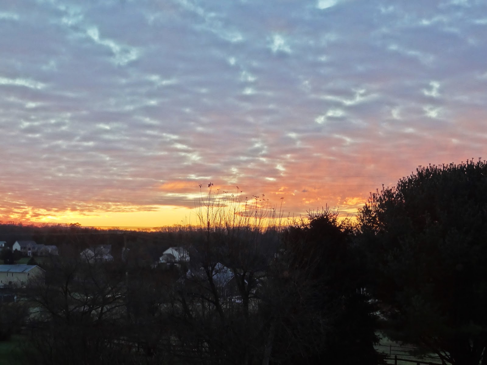 Live and LearnToss and Turn Thankful Sunday, December 09, 2018