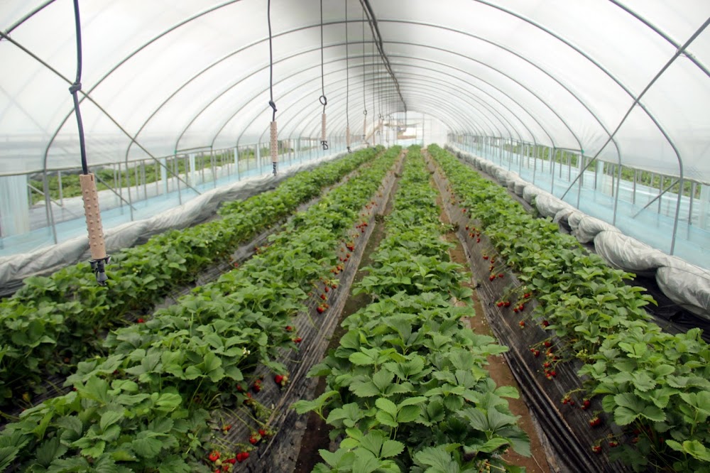 Korea Day 5 (10th May 2013)- Sponsored by Korea Tourism Organization