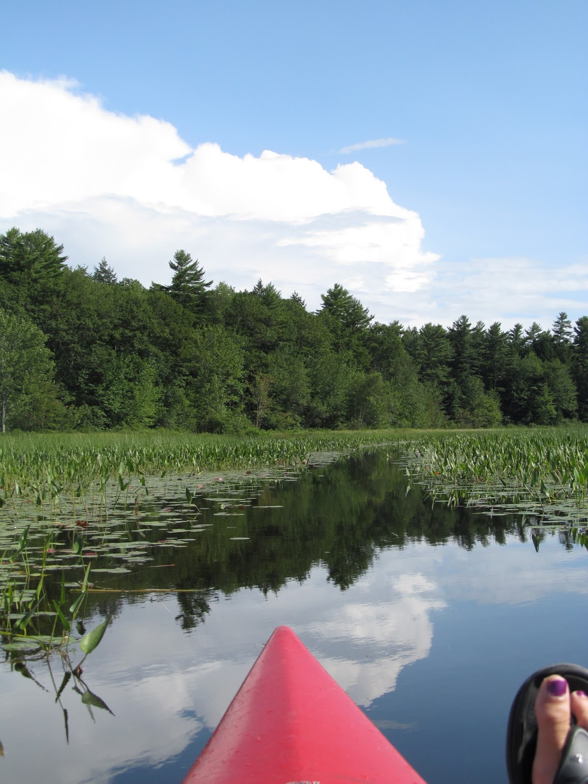 Recreational Kayaking in Maine Highland Lake Falmouth/Windham, Maine