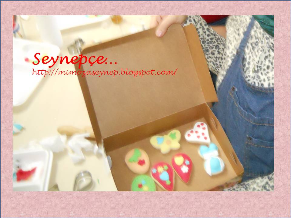 Seynepçe: Kasım 2012