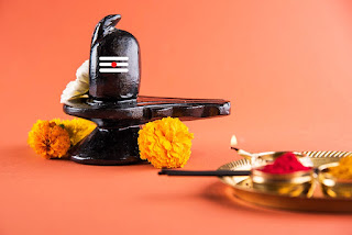 মহাদেবের পুজোর নিয়মাবলী মহাদেবের পুজোর নিয়মাবলী