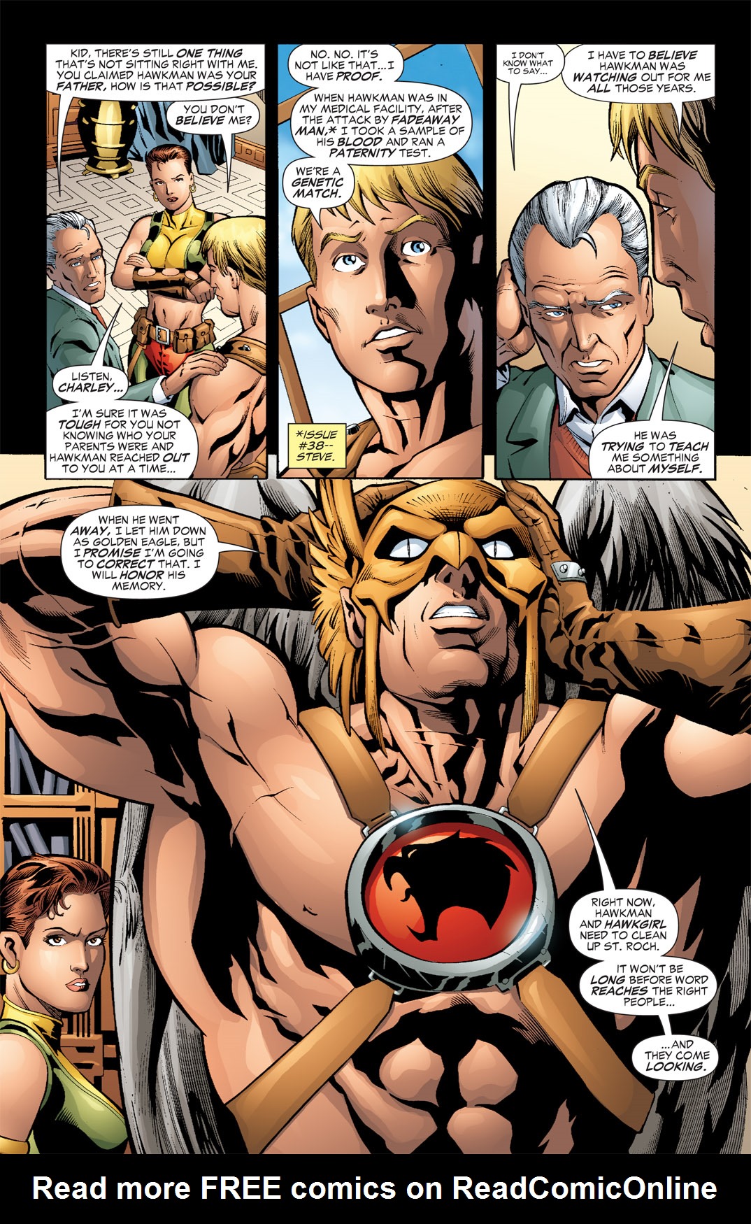 Hawkman (2002) Issue #43 #43 - English 17