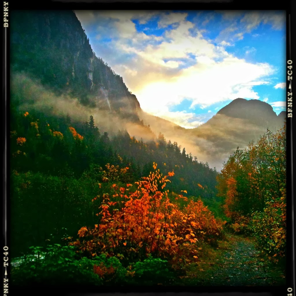 WellnessVancouver Feeling Blue? Some secrets to dealing with Seasonal