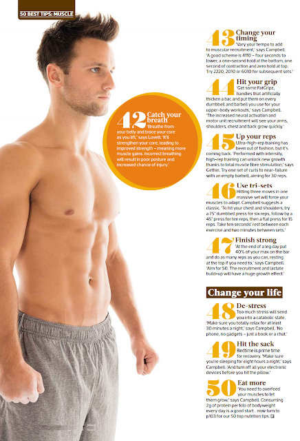 Best Muscle Building Foods For Dogs Best Muscle Building Foods For Dogs