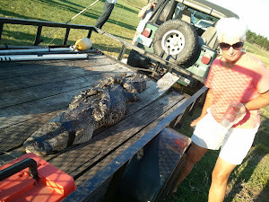 Al Miller and his 9' lg alligator that almost took his life.