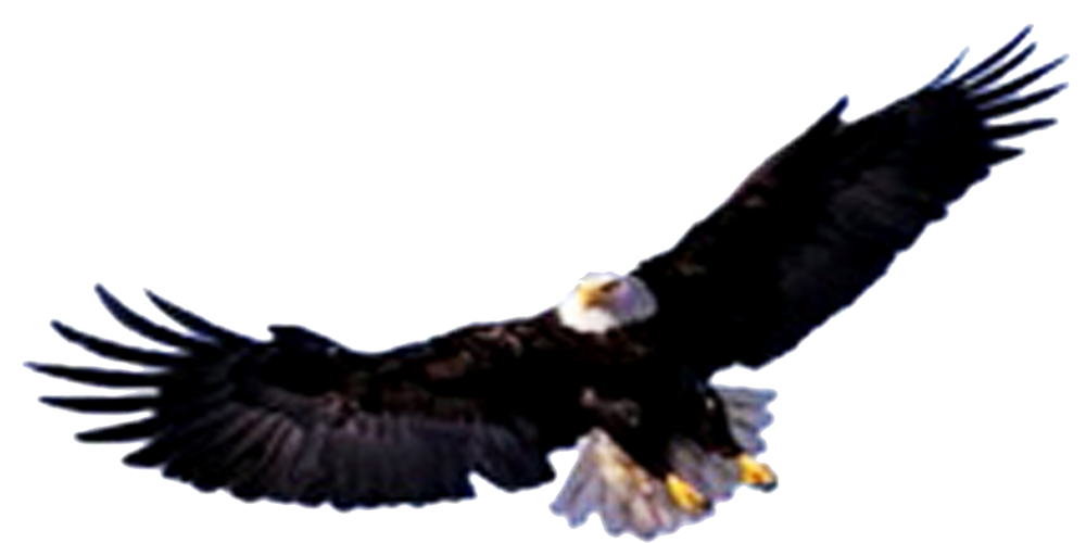 Gambar Khodam Rajawali Emas Guru Ahli Gambar di Rebanas - Rebanas