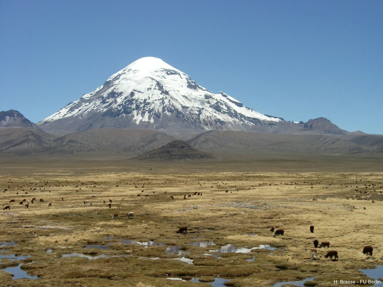 Foto institucional