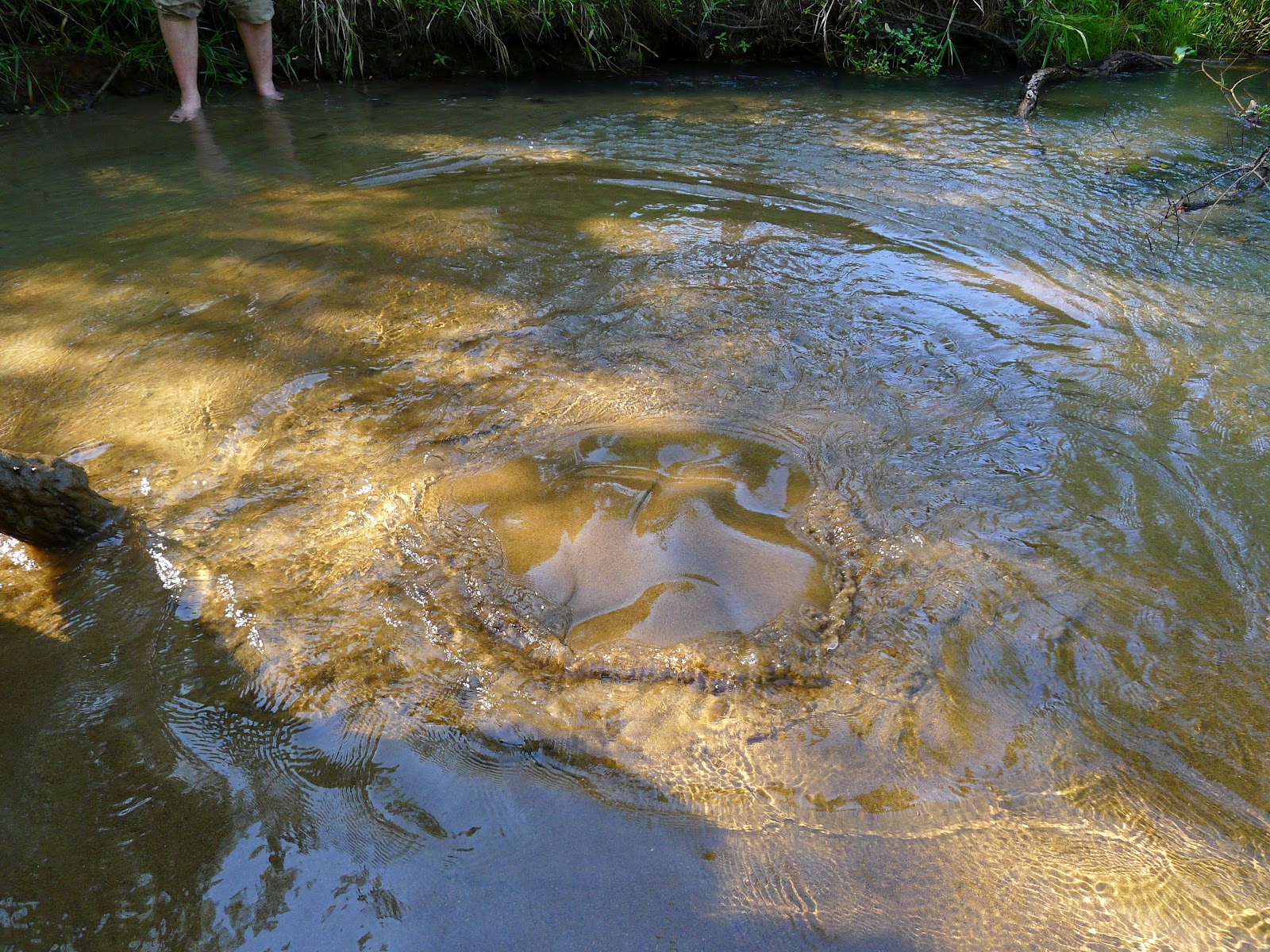 " FULL ON " Boiling Spring