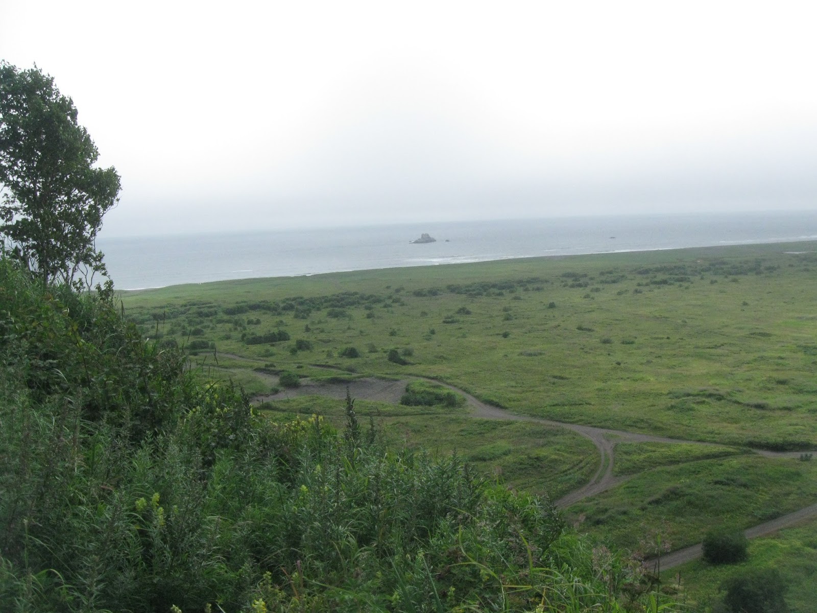 Халактырский аэропорт