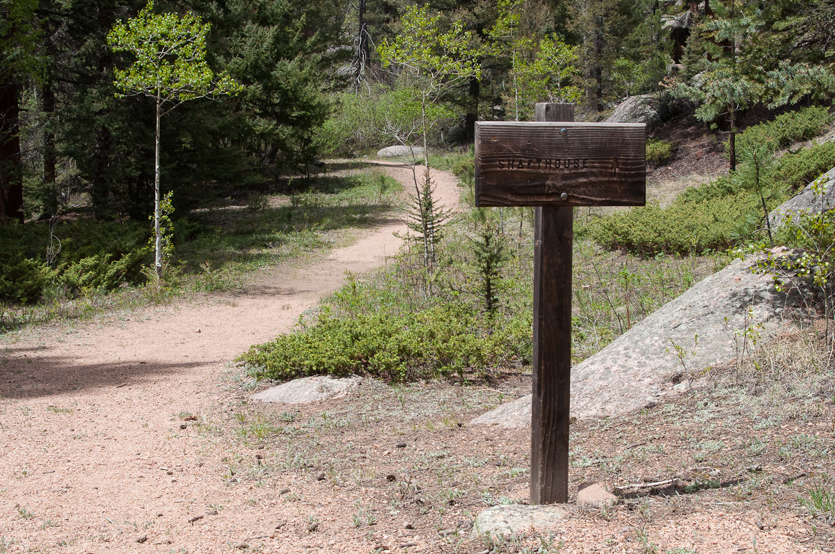 A Tree Falling Goose Creek Trail, Part I