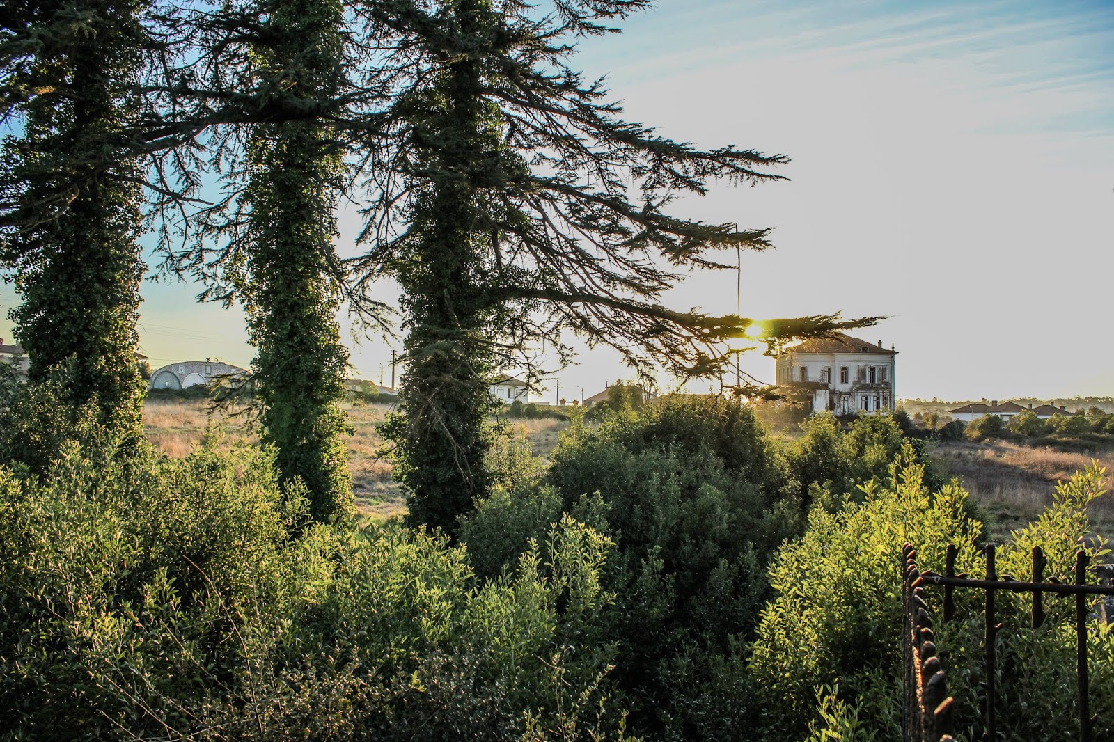 Palácio do Conde de Sucena