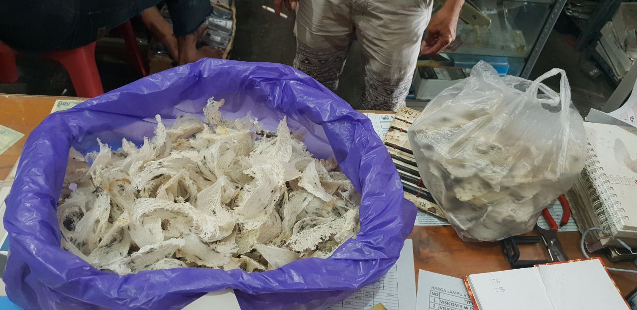 APA SIH KEUNTUNGAN BUDIDAYA WALET - ilmuwalet.com