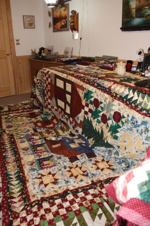Sarah Lynn's Quilting Thimbleberries Village Quilt Hang Done