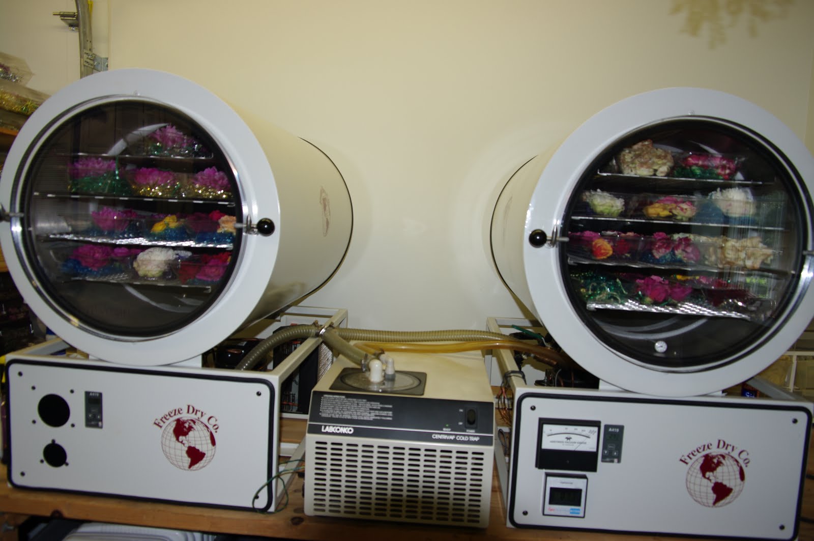 TLC Country Floral Freeze Dry 101...Part Two!!