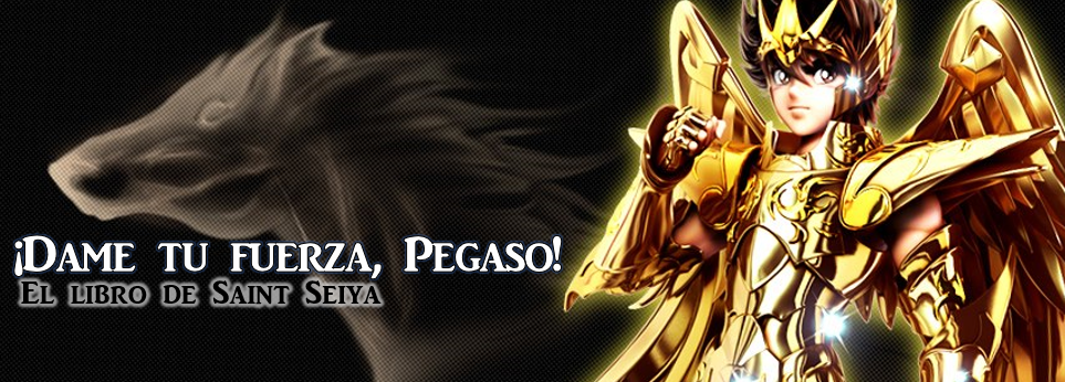 Libro de Saint Seiya