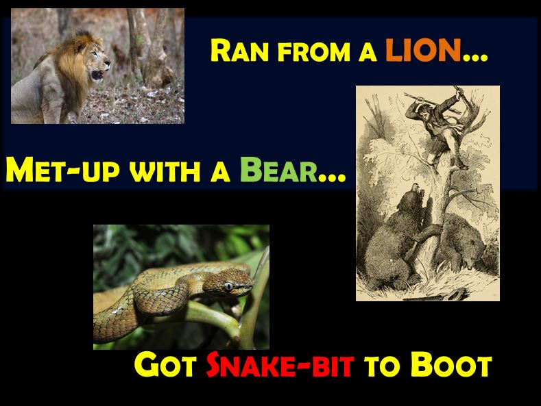 Rocky Road Devotions Ran From a Lion...Met Up With a Bear...Got Snake
