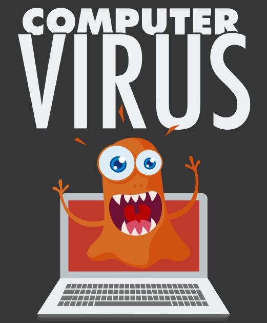 Slice of Guides What is a computer virus,how it is spread and it's effect