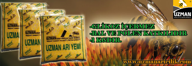 uzmanaricilik ARI KEKİ KULLANIMI