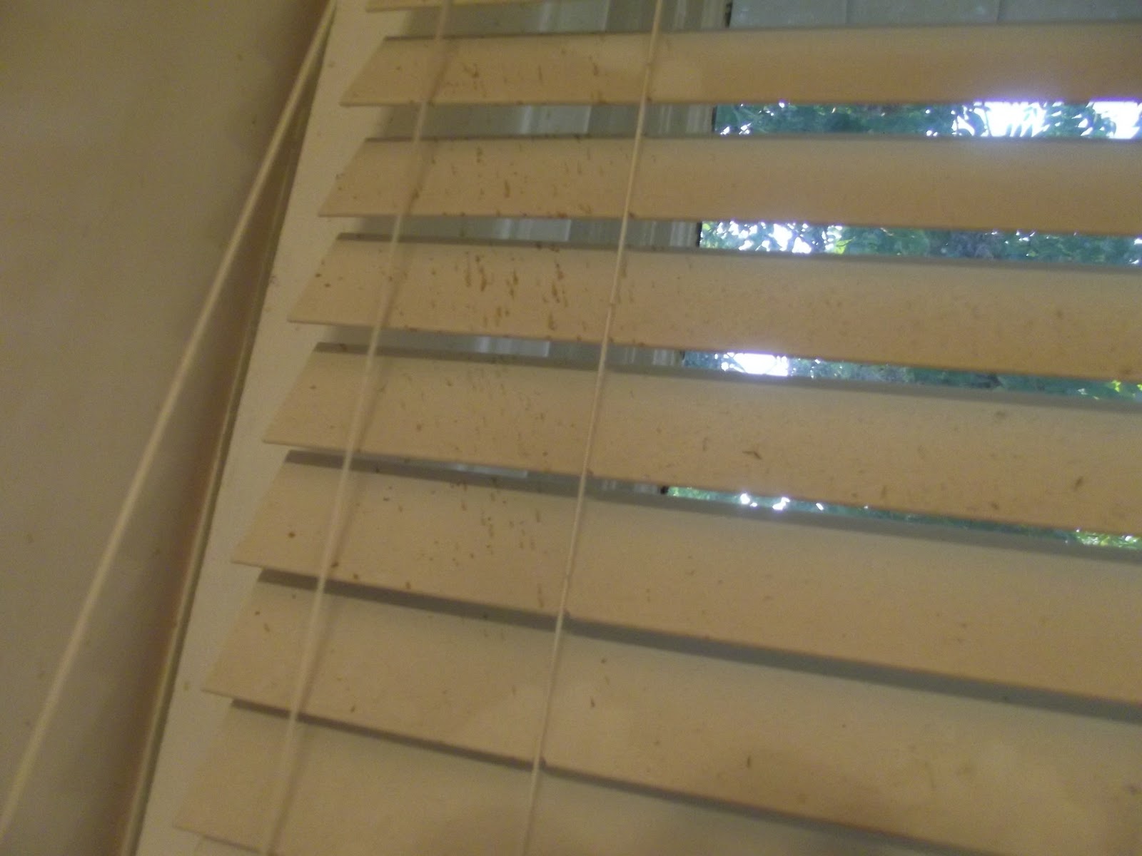 Homemade Harlots How to Clean Your Blinds