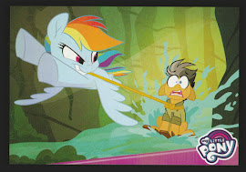 My Little Pony Take the Plunge Series 4 Trading Card