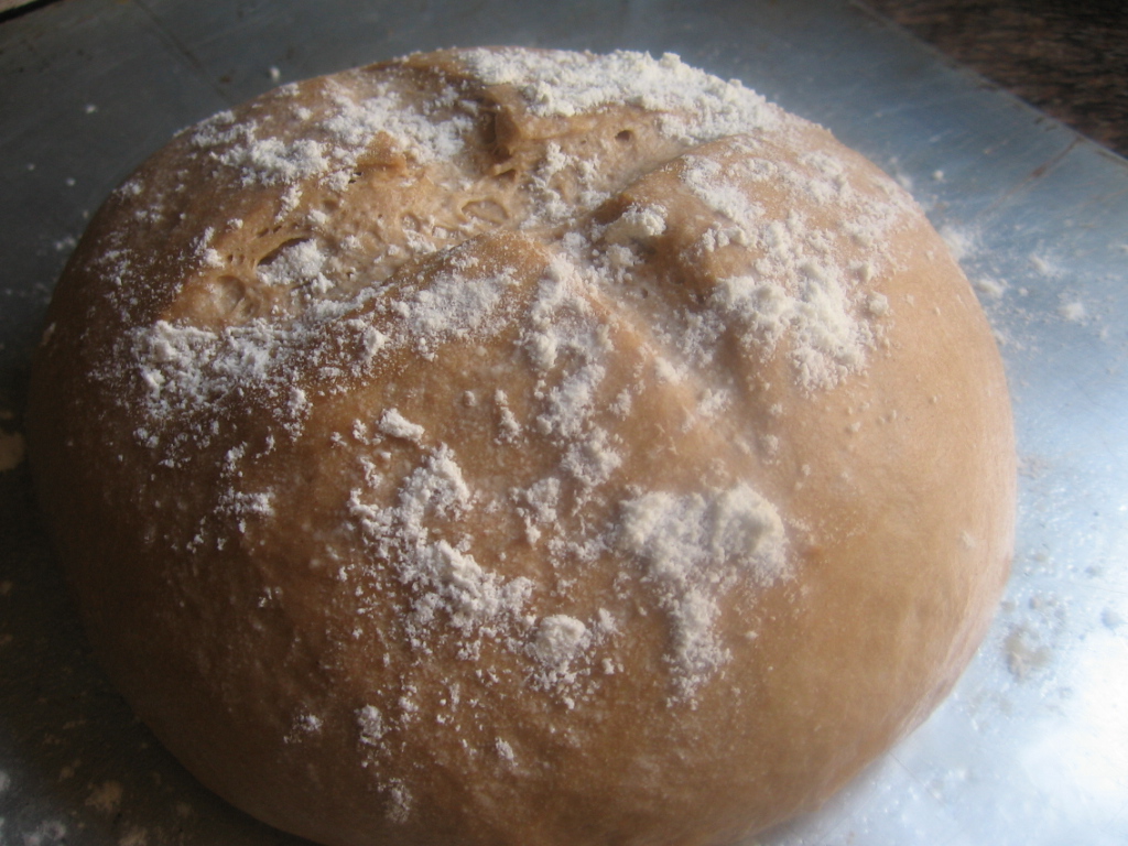 BreadMan Talking Basic Healthy Beautiful Bread Artisan Whole Wheat Boule