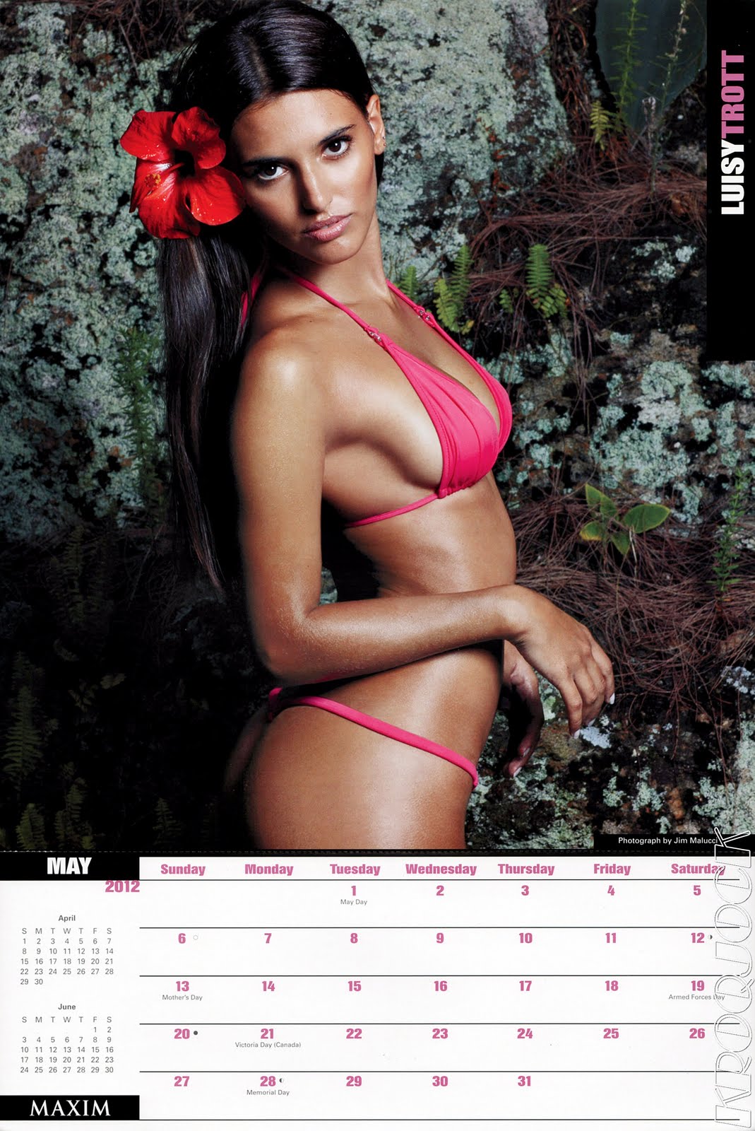 Maxim 2012 Wall Calendar Pics