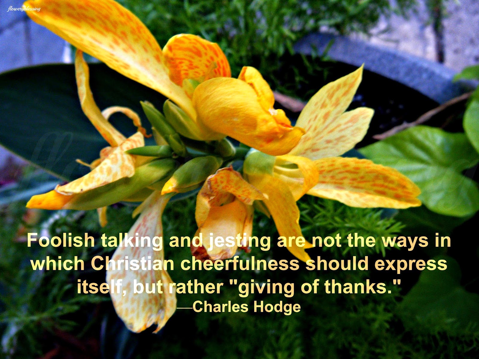 Flowery Blessing: Foolish talking and jesting are not the ways in which ...
