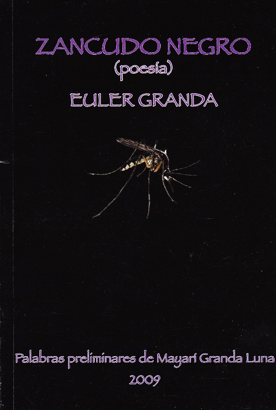 Ciudad Hecatombe: Literatura para nuevos nichos