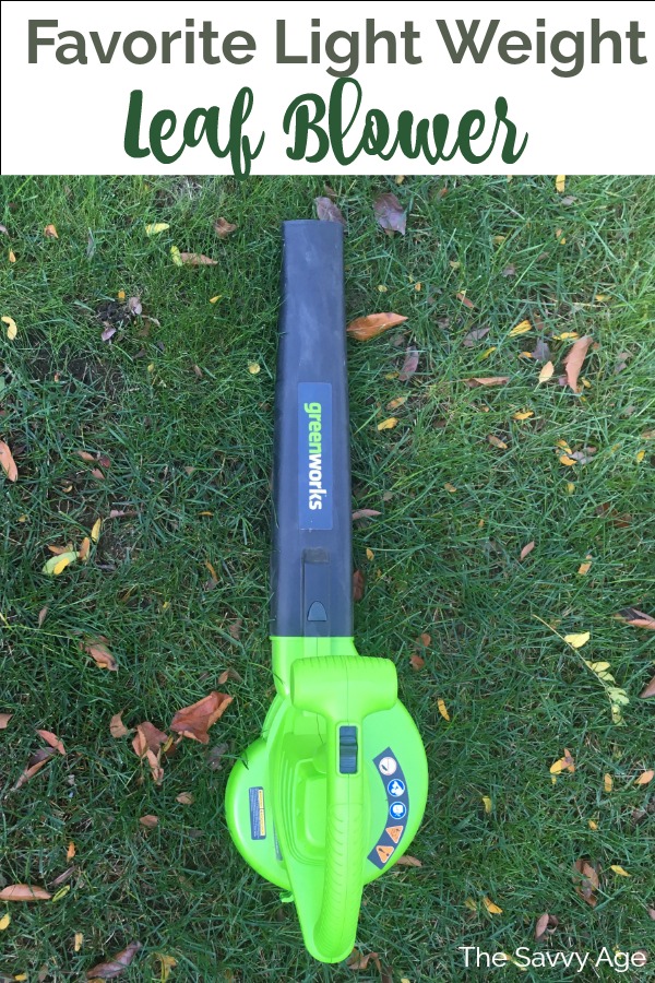 Greenworks Blower Reviewed
