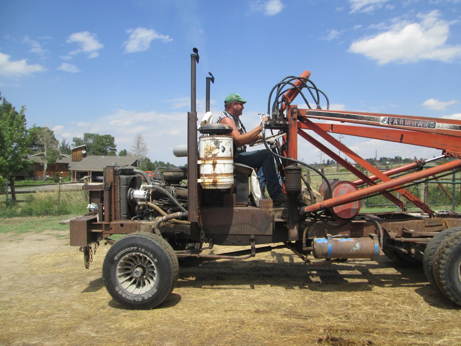 Animal Antics Fun with Rescued Animals Hay Delivery
