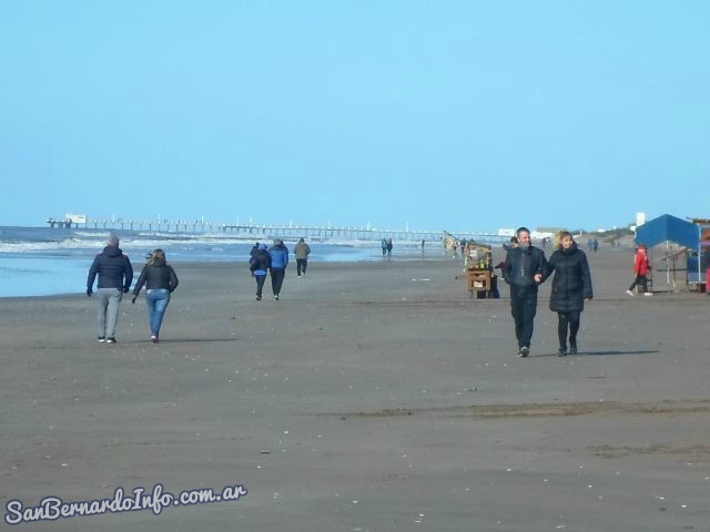 pronostico san bernardo