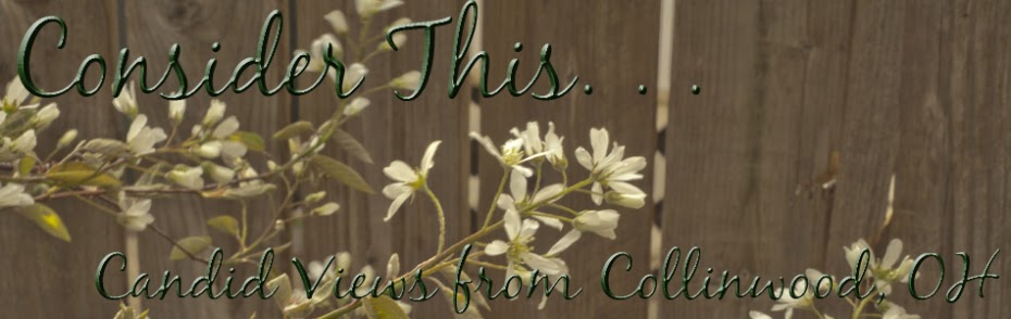Consider the wildflowers Tee Shirt